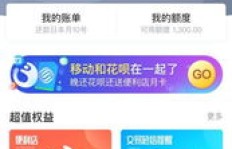 乐刷QQ超级会员，操作安全性如何评估？