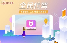 如何通过其他平台代驾服务实现盈利？