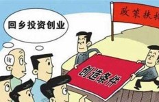 农村为何禁止这些副业？背后原因令人深思