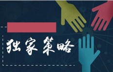 岳菲如何引领副业走向辉煌？