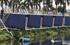 养殖缢蛏能否带来可观收益？经济效益分析