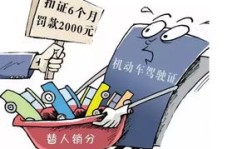小学生如何通过实践活动赚取零花钱？