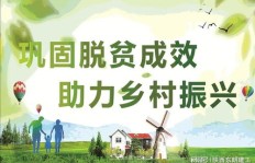 农村创业有何高招？哪些项目在农村最具发展潜力？