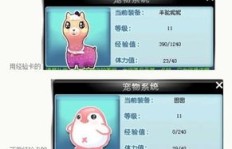 QQ飞车宠物经验卡如何定价？刷宠物经验需多少费用？