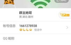 哪些软件仅支持微信和QQ刷？独家盘点来了！