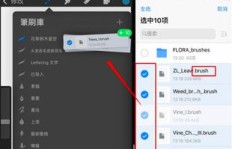 如何将QQ人笔刷Procrate导入Painter？