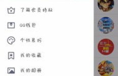 如何以低价获得专业QQ会员服务？