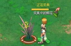 如何在QQ幻想中快速刷花并获得大量鲜花？