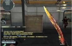 哪里能找到穿越火线刷枪神器支持的QQ号？
