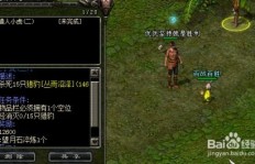 如何在QQ华夏中高效刷雷震羽和雷暴？