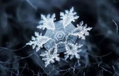 如何实现QQ雪花刷赞特效，纷飞效果要怎么操作？