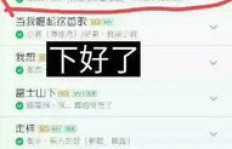 如何高效利用QQ音乐付费包，提升听歌体验？