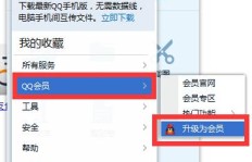 如何取消通过手机短信购买的QQ会员永久会员服务？