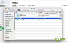 如何快速提升苹果QQ音乐的等级？有哪些有效方法？