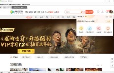 如何在QQ上获得永久VIP会员资格？