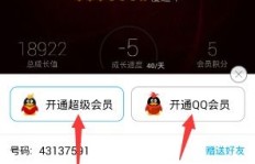 下载手机版QQ会员永久软件，这样的操作真的安全可靠吗？