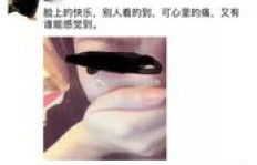 如何免费使用QQ空间刷赞软件？安全高效的选择！