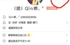 如何在QQ上快速刷名片赞？找到最佳平台了吗？