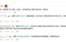 肖战在B站的视频播放量破300亿？粉丝力量背后的数据真相如何？