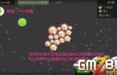球球大作战如何快速增加粉丝？刷助力软件还是代挂网站更靠谱？