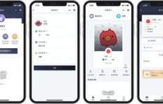 如何快速获取QQ名片赞？刷赞网址靠谱吗？
