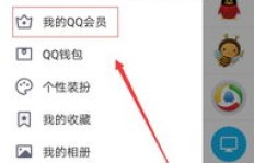 如何查看永久QQ会员到期时间？聊天记录能回溯多久？