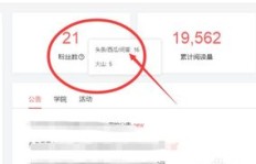 优酷粉丝多有用吗？如何成为优酷粉丝排行榜上的Up主并有效增粉？
