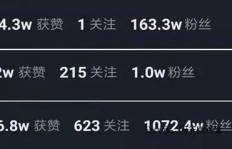 哪些神秘软件能在抖音刷粉丝？如何安全高效地提升抖音关注度？