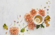 如何在线打造QQ说说队形？刷出独特风采新技巧？