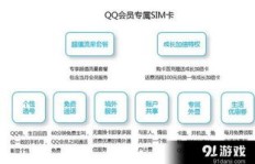 如何选择最划算的QQ会员套餐？哪一项性价比最高？