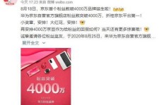 京东刷粉丝、销量与关注，真的安全吗？店铺风险与法律责任解析