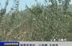 如何在龙村通过拍摄视频实现盈利？