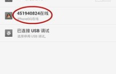 如何实现QQ刷苹果在线状态？