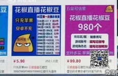 哪些聊天室主播掌握了赚钱秘诀？专业刷粉与粉丝互动技巧大公开！