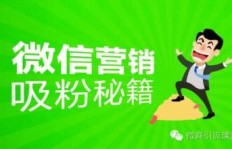 微商团队如何选择项目才能实现高效盈利？