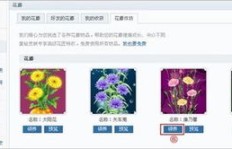 哪些网站能刷QQ空间鲜花？靠谱的刷花平台大盘点