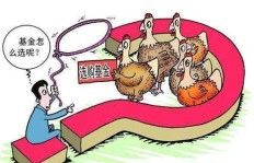 四十岁女性如何选择高收益副业实现财务自由？