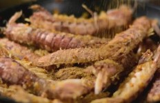 皮皮虾粉丝怎么快速增加？1000活粉仅需1元，有播放收益吗？10万粉丝能否赚钱？
