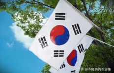 在韩国开设武馆，能否实现盈利？市场前景如何？