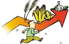 普通人如何找到赚钱的门路？哪些生意能让普通人轻松盈利？