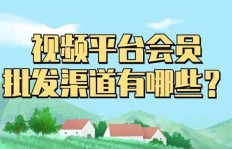 哪里找可靠的影视会员批发渠道？