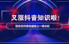 如何高效提升网易云粉丝量？最新抖音粉丝业务与自助下单平台详解