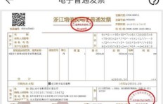 如何在批发平台查看QQ会员发票？疑问解答