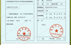 报到证究竟有何用途？其重要性你知道吗？
