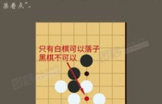 兼职围棋手如何兼顾棋艺与工作？