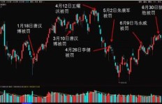 游资与散户携手掘金，究竟依赖何种盈利秘诀？