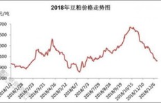 在猪市场卖肉能否实现盈利？市场行情与利润分析