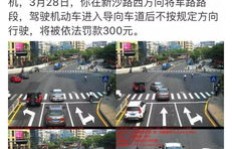 举报违法停车真的能赚钱吗？真相令人好奇！