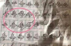 禾与米相加成何字？禾加米组合究竟代表什么？