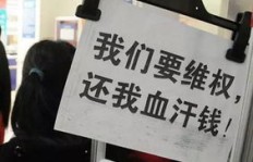 遭遇投资平台诈骗，损失资金能否成功追回？